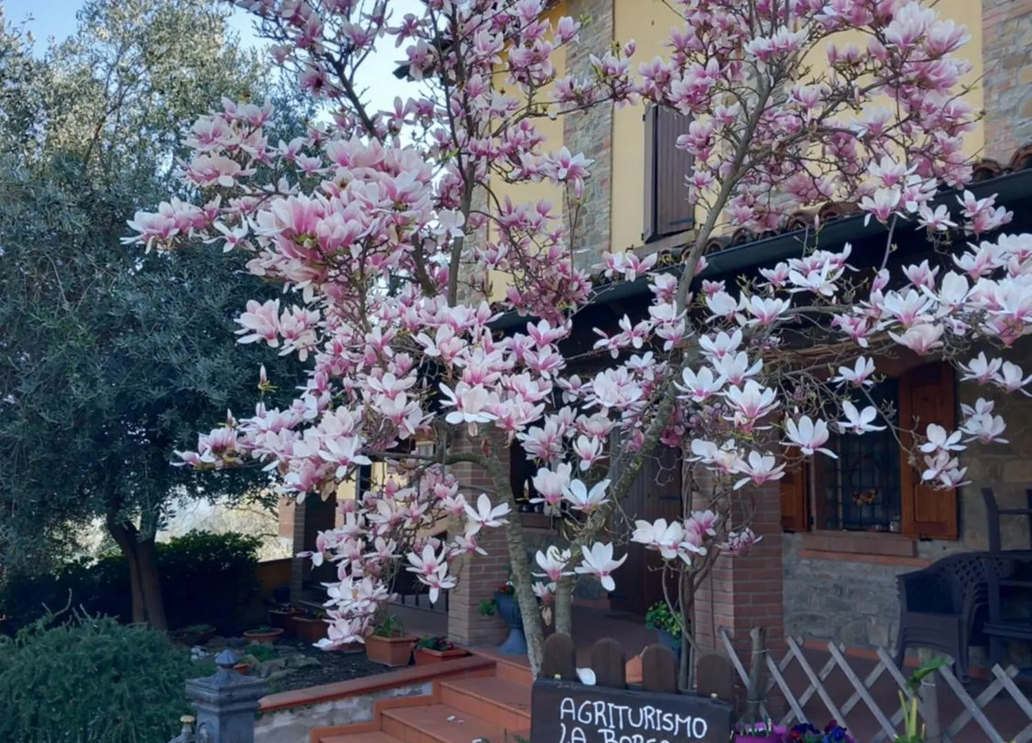 Farm stay Azienda Agrituristica La Borgaccia Baiso