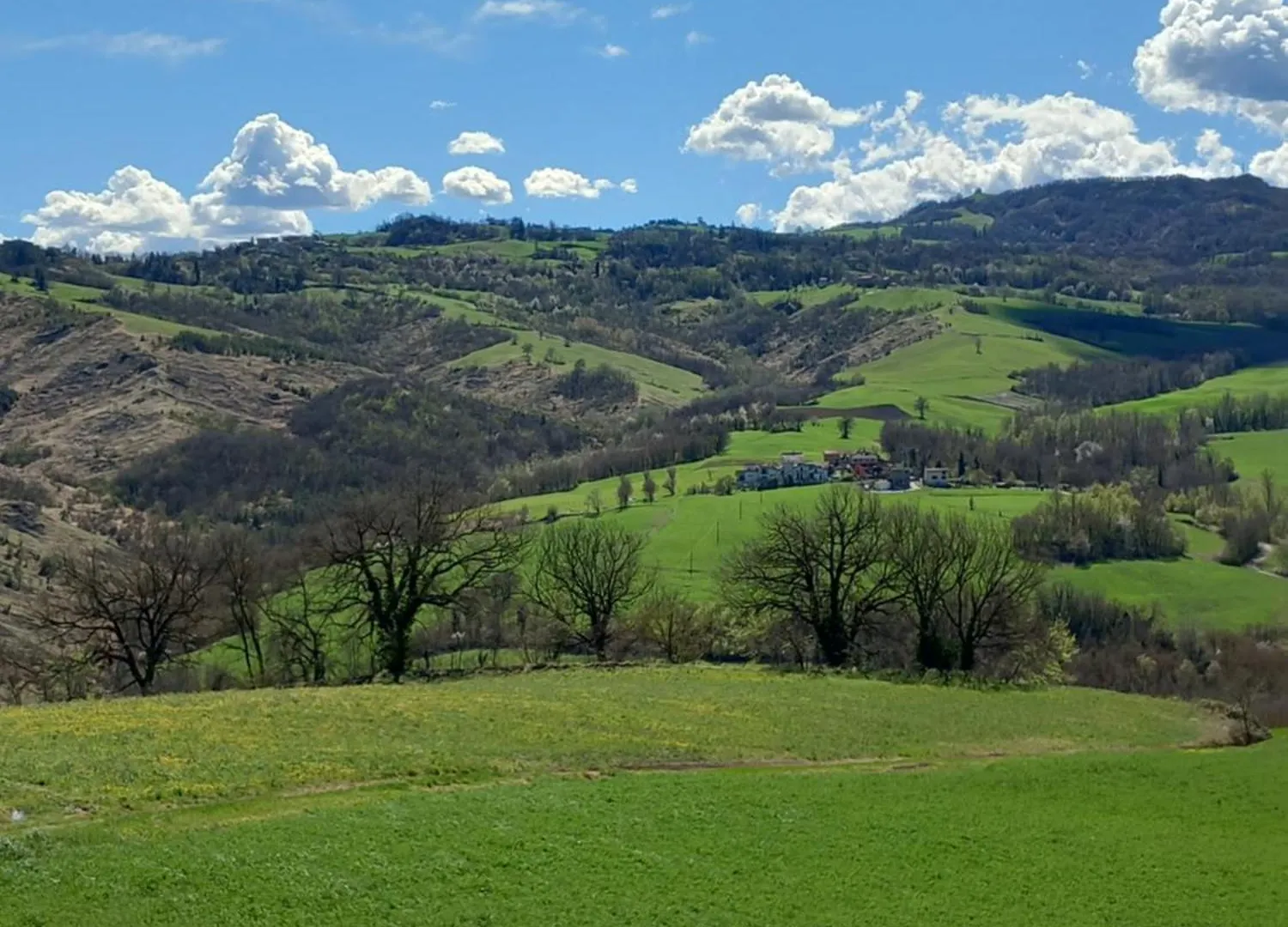 Azienda Agrituristica La Borgaccia Baiso